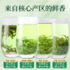 【Four Major Green Teas】Before the Pure Brightness Festival, Biluochun, Longjing, Maojian, Mountain Cloud and Mist Green Tea Leaves, New Tea, Authentic, High-End, Loose-Leaf