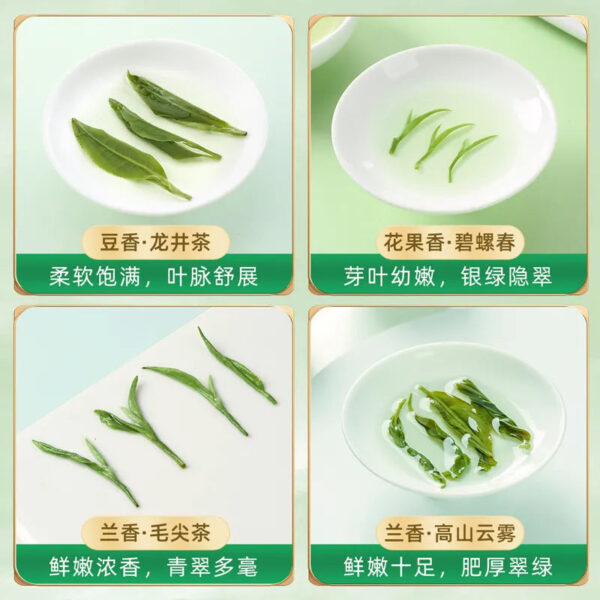 【Four Major Green Teas】Before the Pure Brightness Festival, Biluochun, Longjing, Maojian, Mountain Cloud and Mist Green Tea Leaves, New Tea, Authentic, High-End, Loose-Leaf